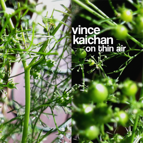 Файл:Vince Kaichan - On Thin Air.png