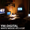 Yerzmyey and Factor6 - White Mouse ate a Cat.png