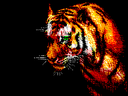 Like a Tiger by Tutty x2.png