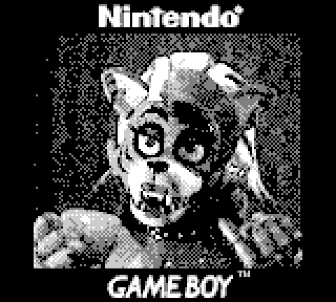 Файл:gbcamera - photo 3.png