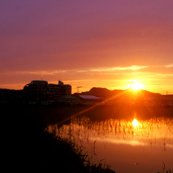 Файл:Windmills at Dawn - Daybreak.jpg
