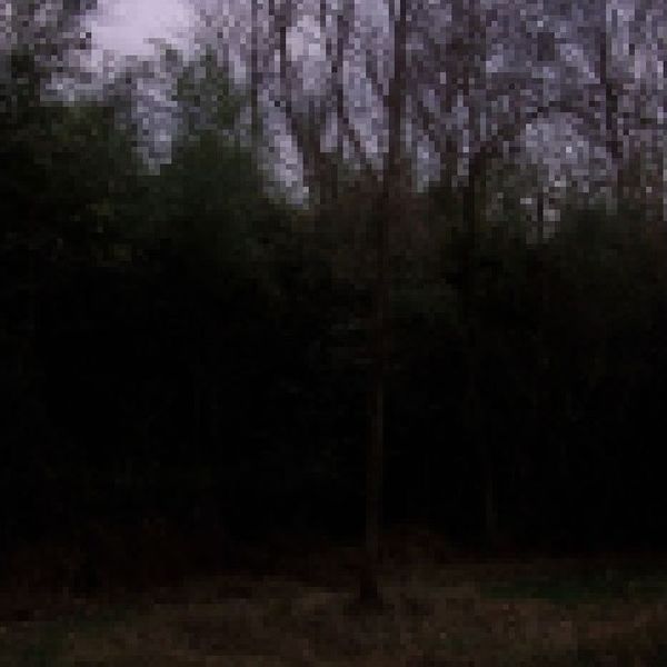 Файл:tlr - Life Decisions.jpg