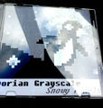 Dorian Grayscale - Snowy Pixels cd.jpg