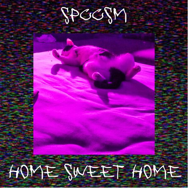 Файл:SPCCSM - HOME SWEET HOME.jpg