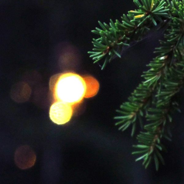 Файл:Snork25 - Transpolar Dub.jpg