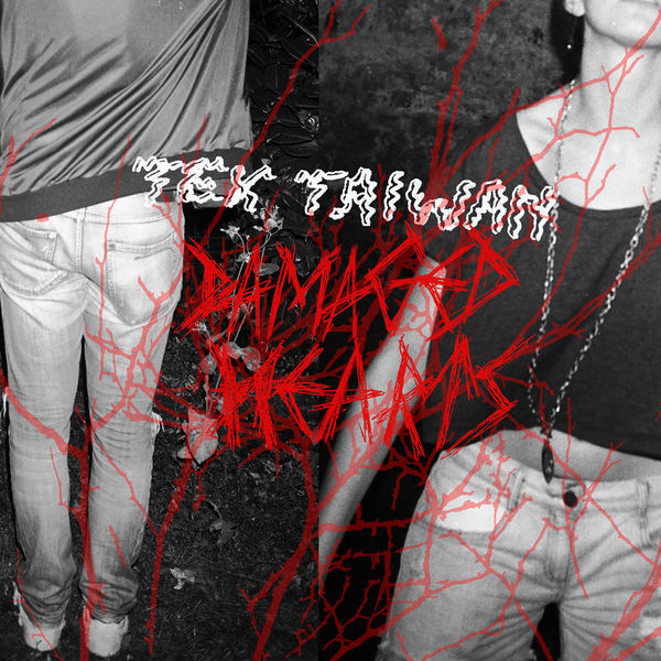 Файл:Tex Taiwan - Damaged Hearts.jpg