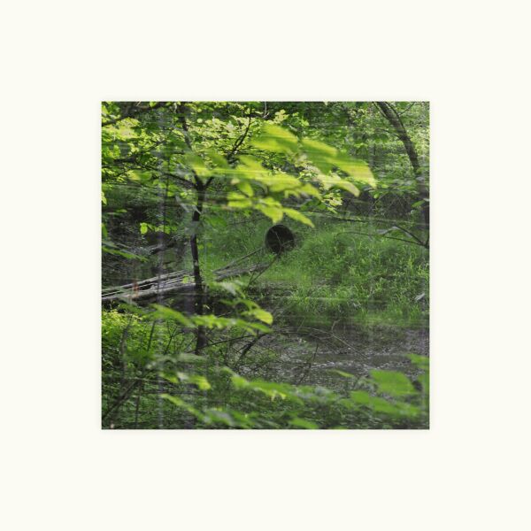 Файл:Cooshinator - Valuable Gem.jpg