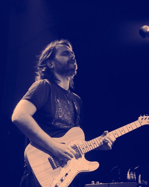 Файл:chipocrite 2024.jpg