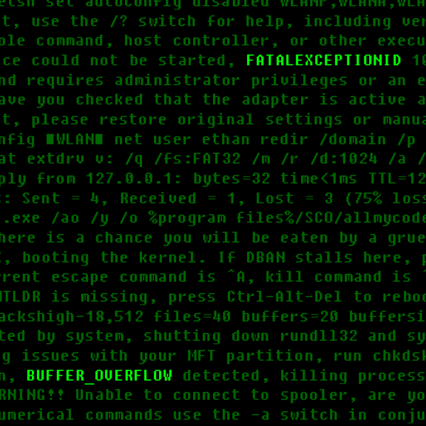 Файл:FatalExceptionID - BUFFER OVERFLOW.png